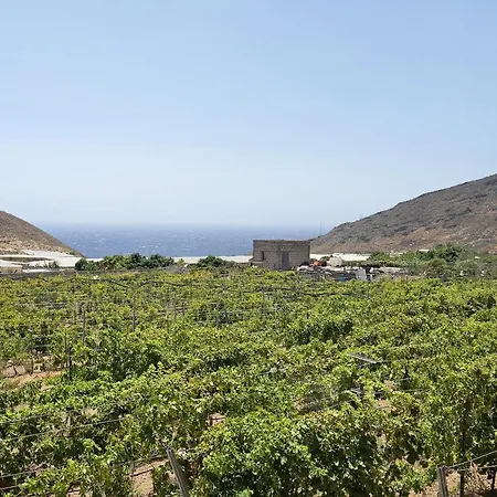 Tres Palmeras * Güímar