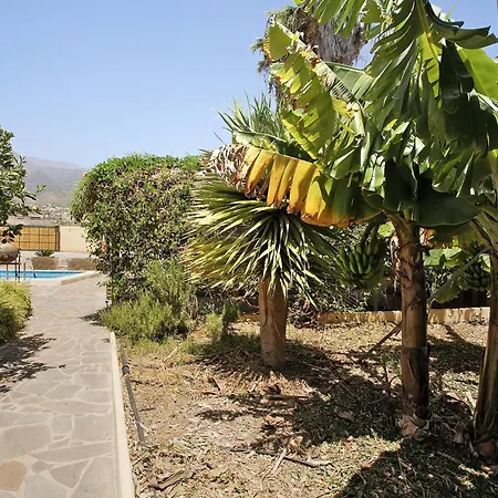 Tres Palmeras Apartmán *