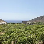 Tres Palmeras * Güímar
