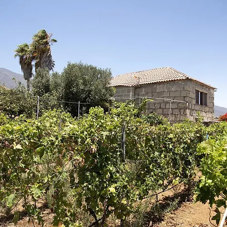 Tres Palmeras Apartamento Güímar