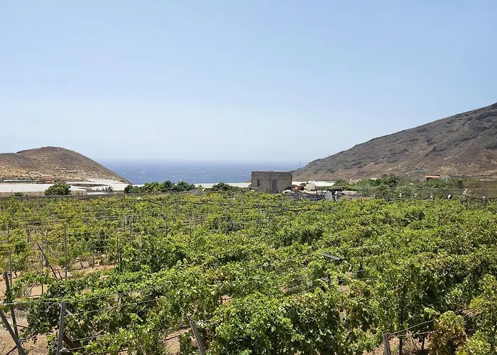 Tres Palmeras * Güimar